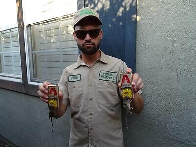 Westchester pest control